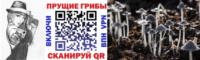 Галлюциногенные грибы Magic Shrooms  что такое наркотик  Тосно 
