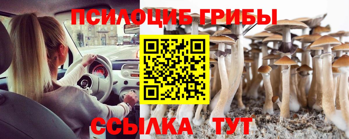 Псилоцибиновые грибы мицелий Тосно