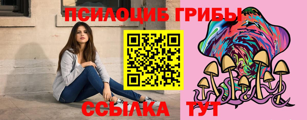 Галлюциногенные грибы GOLDEN TEACHER  купить наркотики цена  Тосно  Вход с VPN 